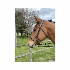 Jump'in Hackamore Bridle - Week Collection -Farm House Tack Store JI BWHA1