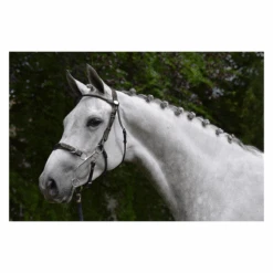 Jump'in Hackamore Bridle - Week Collection -Farm House Tack Store JI BWHA2