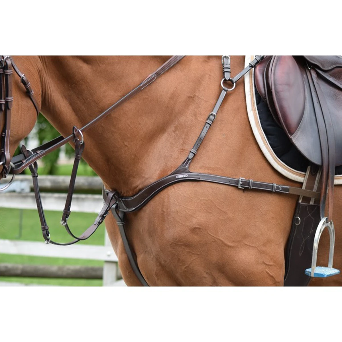 Jump'in 2 In 1 Breastplate And Martingale - One Collection 3 Jump'in 2 In 1 Breastplate And Martingale - One Collection