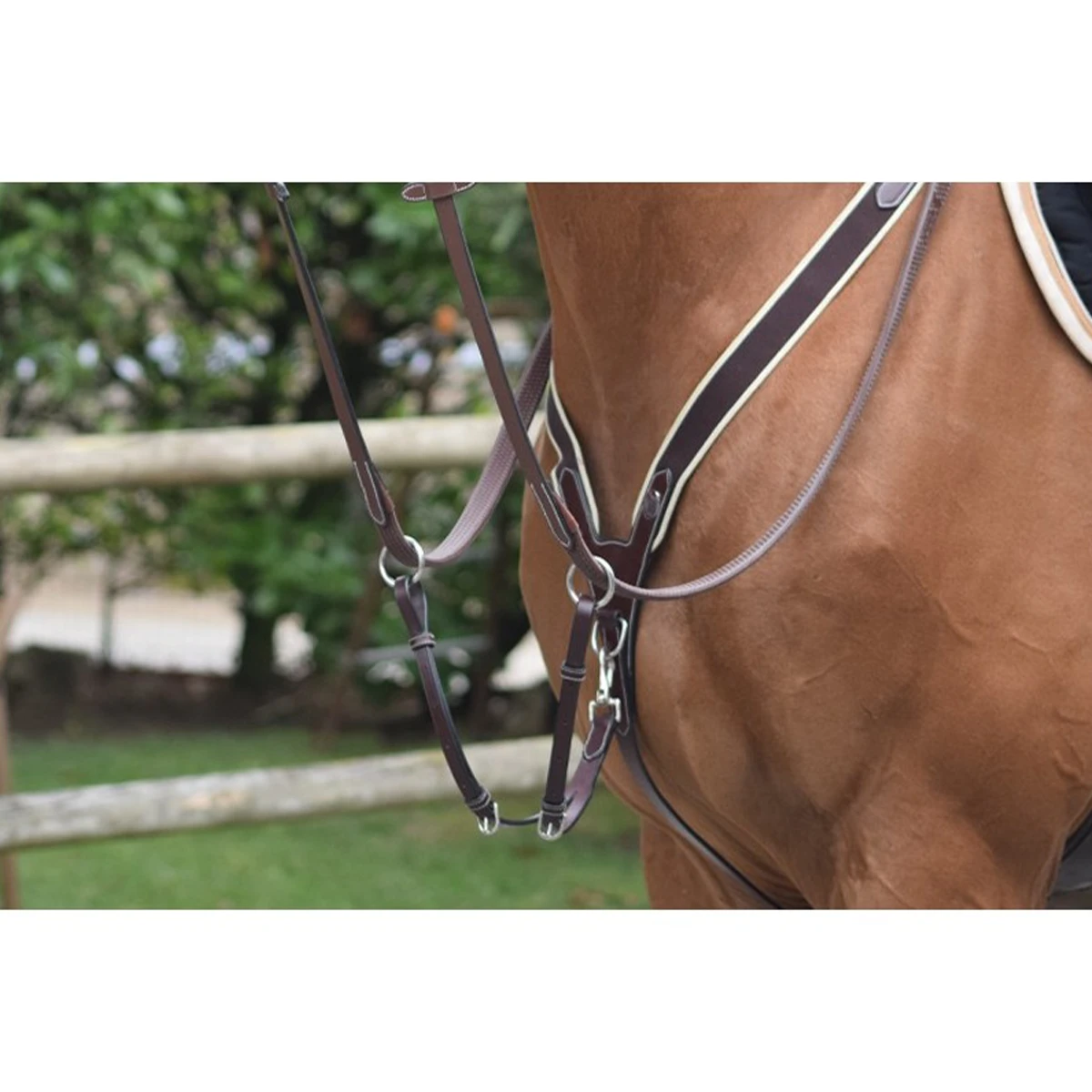 Jump'in Elastic Breastplate - One Collection 3 Jump'in Elastic Breastplate - One Collection
