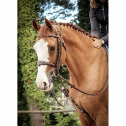 Jump'in Patrick Training Aid 10 Jump'in Patrick Training Aid -Farm House Tack Store JI ENP 2