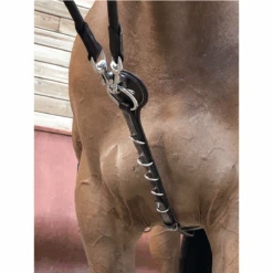 Jump'in Patrick Training Aid 9 Jump'in Patrick Training Aid -Farm House Tack Store JI ENP 3