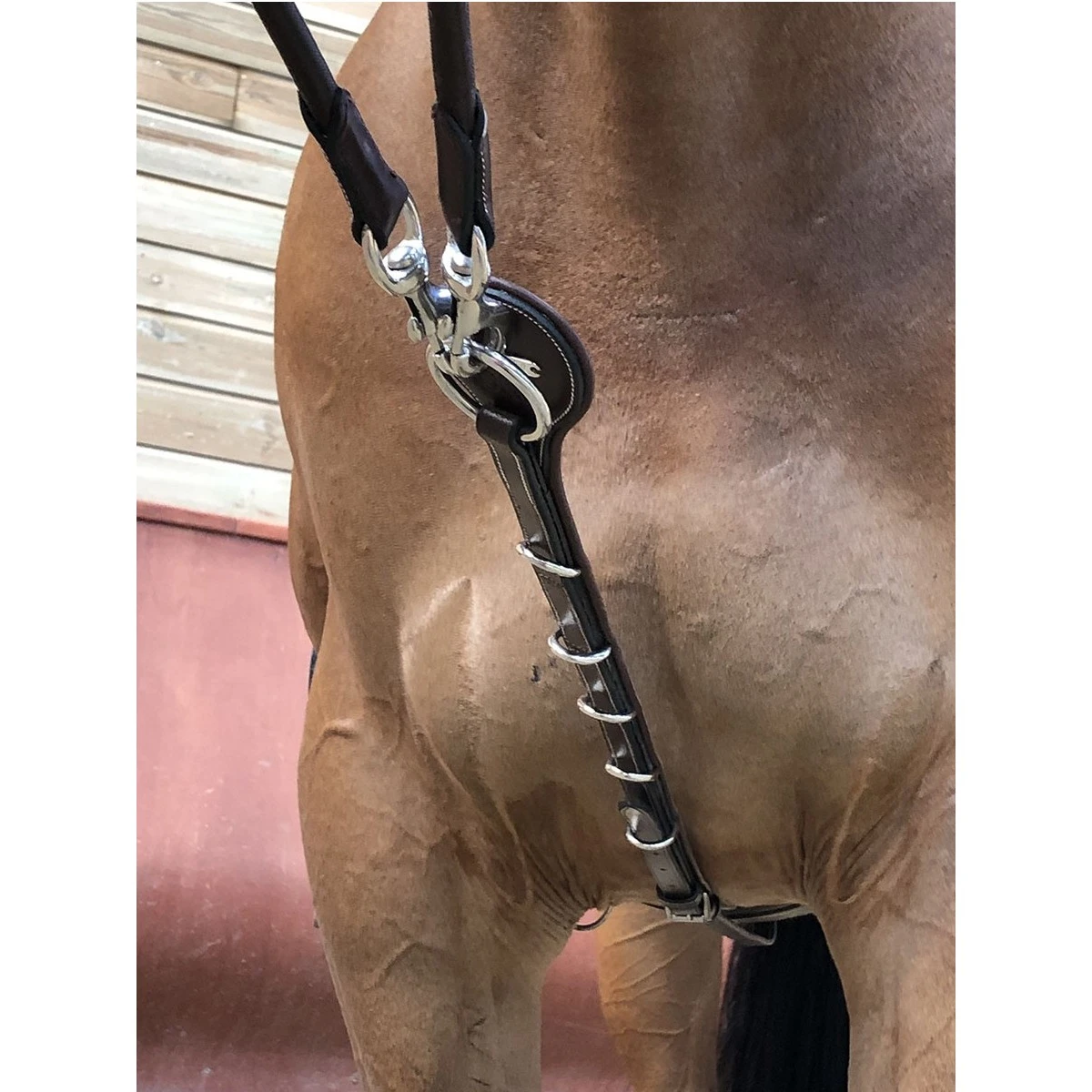 Jump'in Patrick Training Aid 5 Jump'in Patrick Training Aid - Image 3