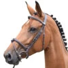 Jump'in Thursday Bridle - Week Collection -Farm House Tack Store Jump.In Thursday.Bridle.1