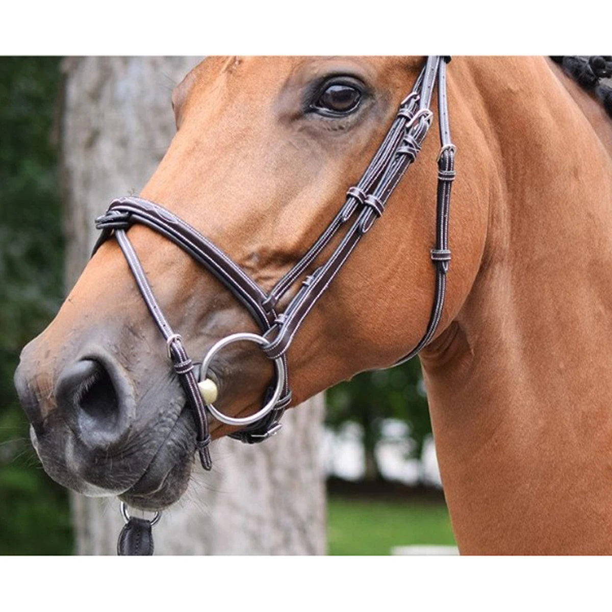 Jump'in Thursday Bridle - Week Collection 5 Jump'in Thursday Bridle - Week Collection - Image 3