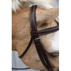 Red Barn By KL Select Icon Hunter Bridle -Farm House Tack Store KL.Select Icon.Bridle Detail