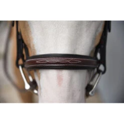 Red Barn By KL Select Icon Hunter Bridle -Farm House Tack Store KL.Select Icon.Bridle Detail.2
