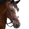 Black Oak By KL Select Foxtrot Hunt Bridle