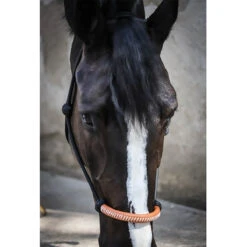 Penelope American Halter 7 Penelope American Halter -Farm House Tack Store Pen AmericanRope 2