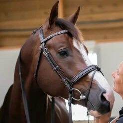 Penelope Daily Bridle -Farm House Tack Store Pen Daily 1