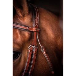 Penelope US Bridle -Farm House Tack Store Pen US 3