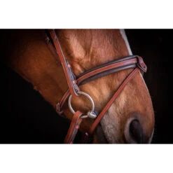 Penelope US Bridle -Farm House Tack Store Pen Us 2