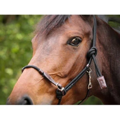 Penelope Rope Halter 9 Penelope Rope Halter -Farm House Tack Store Penelope Ethological.Halter.3