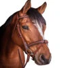 Penelope US Bridle 1 Penelope US Bridle -Farm House Tack Store Penelope US.Bridle 1
