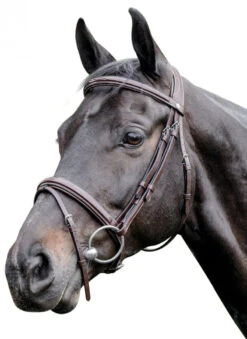 Prestige 3E083 Raised Bridle With Stitching