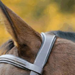 Avignon Ocala Bridle 8 Avignon Ocala Bridle -Farm House Tack Store Shires 50001 2