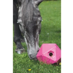 Shires Ball Feeder -Farm House Tack Store Shires 9640 Ball.Feeder Pink 59ca4bec 2974 4a72 8b8d 94126b826150