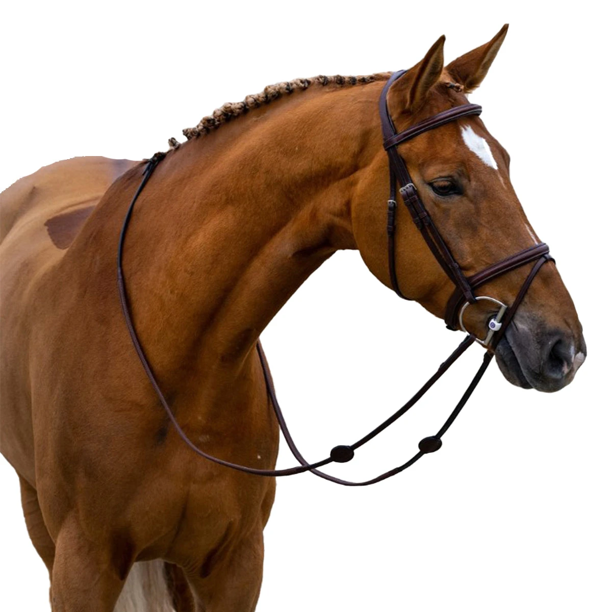 Trust Calgary Bridle 4 Trust Calgary Bridle - Image 2