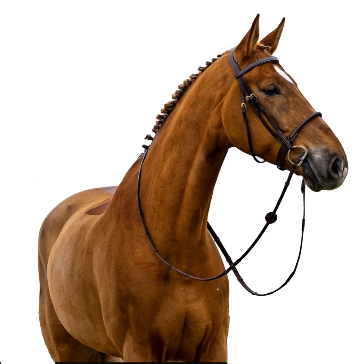 Trust Dublin Bridle 4 Trust Dublin Bridle - Image 2