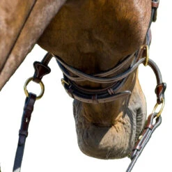 Trust Falsterbo Bridle 9 Trust Falsterbo Bridle -Farm House Tack Store Trust.Falsterbo.Bridle Brown Front.4