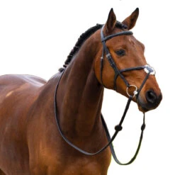 Trust Oslo Bridle 5 Trust Oslo Bridle -Farm House Tack Store Trust.Oslo .Mexican.Noseband.Bridle Front.1 24ffc772 bff3 4642 b935 dd082c102717