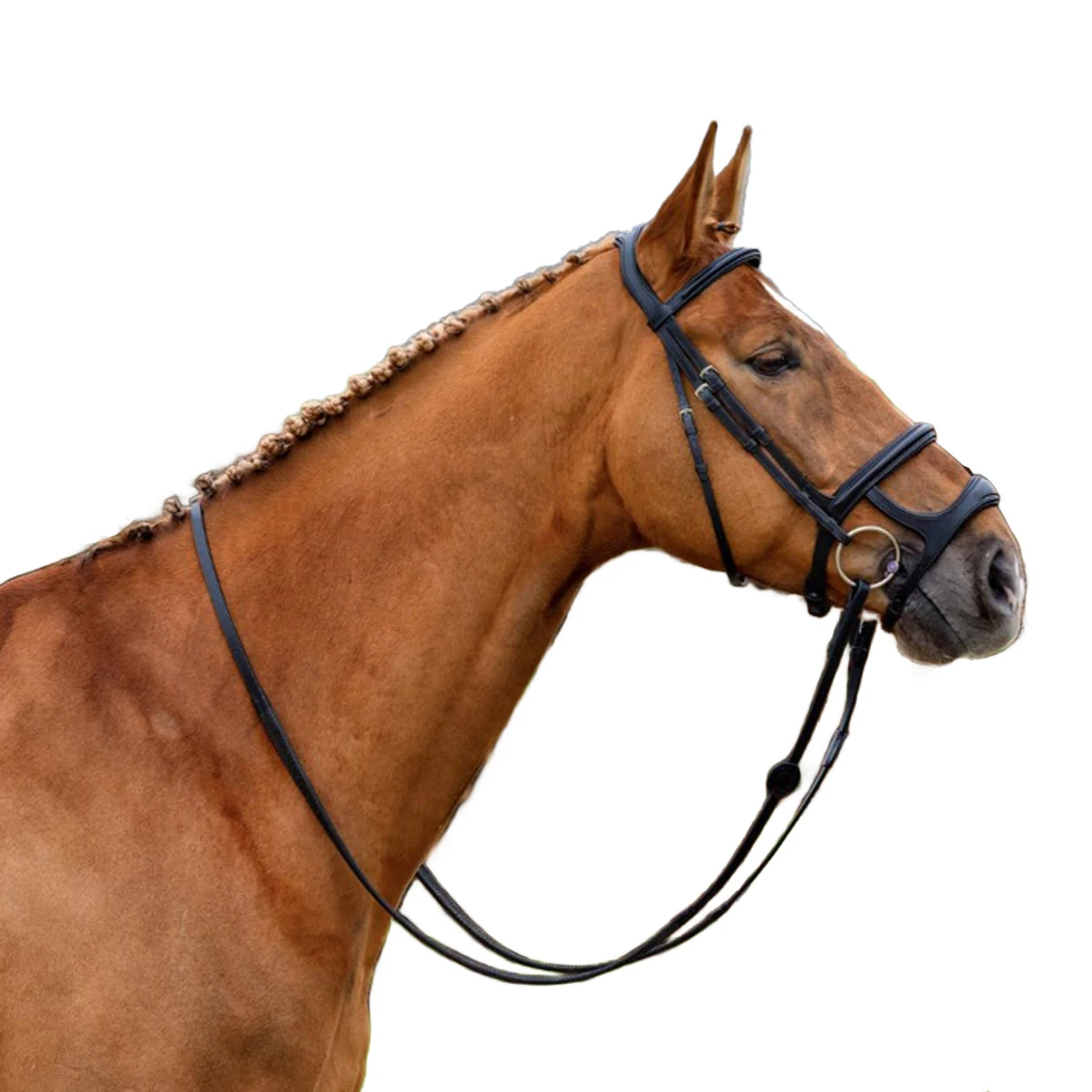 Trust Paris Bridle 4 Trust Paris Bridle - Image 2