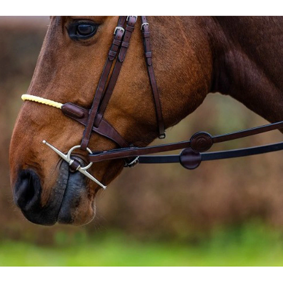 Trust St. Gallen Rope Bridle 5 Trust St. Gallen Rope Bridle - Image 3