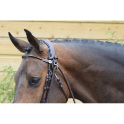 Jump'in Elastic Gogue - Week Collection -Farm House Tack Store Untitled Jump inElasticGogue WeekCollection