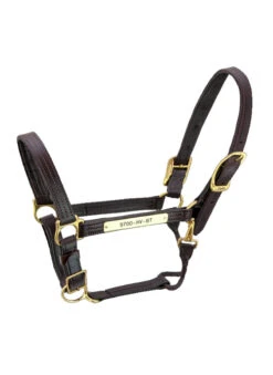 Walsh Kentucky Halter 8 Walsh Kentucky Halter -Farm House Tack Store Walsh Kentucky Halter Havana brown thread 85485.1582144107.1280.1280