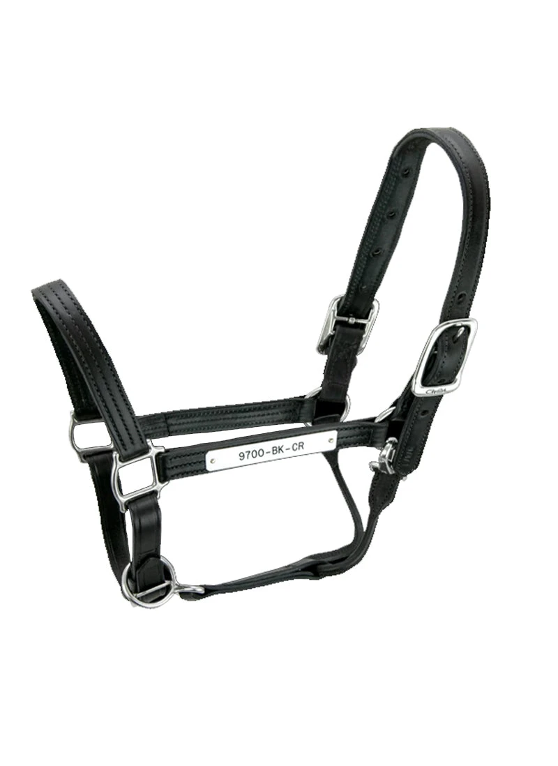Walsh Kentucky Halter 4 Walsh Kentucky Halter - Image 2