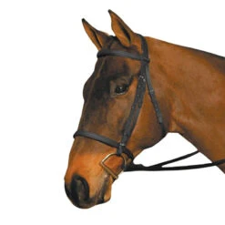 Wintec English Bridle