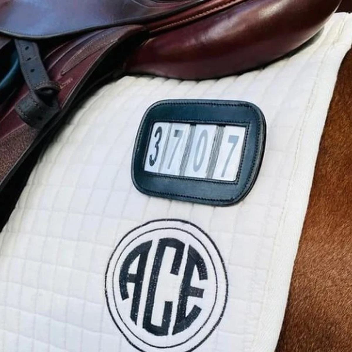 ACE Equestrian Pro4mance Four Digit # I.D. 6 ACE Equestrian Pro4mance Four Digit # I.D. - Image 4