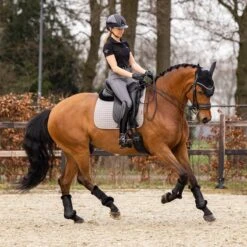 LeMieux Cotton Dressage Square Pad -Farm House Tack Store a6249dd2 481a 4882 be45 0d2fc2cd2a21