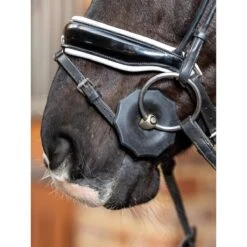LeMieux Contoured Rubber Bit Guards 11 LeMieux Contoured Rubber Bit Guards -Farm House Tack Store a677a669d7bcfad8ad6a07eaeb52f3e9