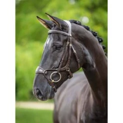 LeMieux Kudos Clear Arc Bridle 9 LeMieux Kudos Clear Arc Bridle -Farm House Tack Store a7dd003c9071ff634cd7b2ba4ebd9b05