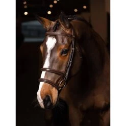 LeMieux Kudos Double Noseband Bridle 7 LeMieux Kudos Double Noseband Bridle -Farm House Tack Store aa7821ec59537a8aeadaba09504e47a6
