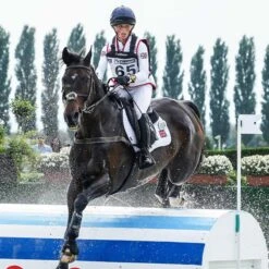 LeMieux Cotton Close Contact Square Pad -Farm House Tack Store ad4c2047 a3a9 4fb2 81d9 e4f2880b8351