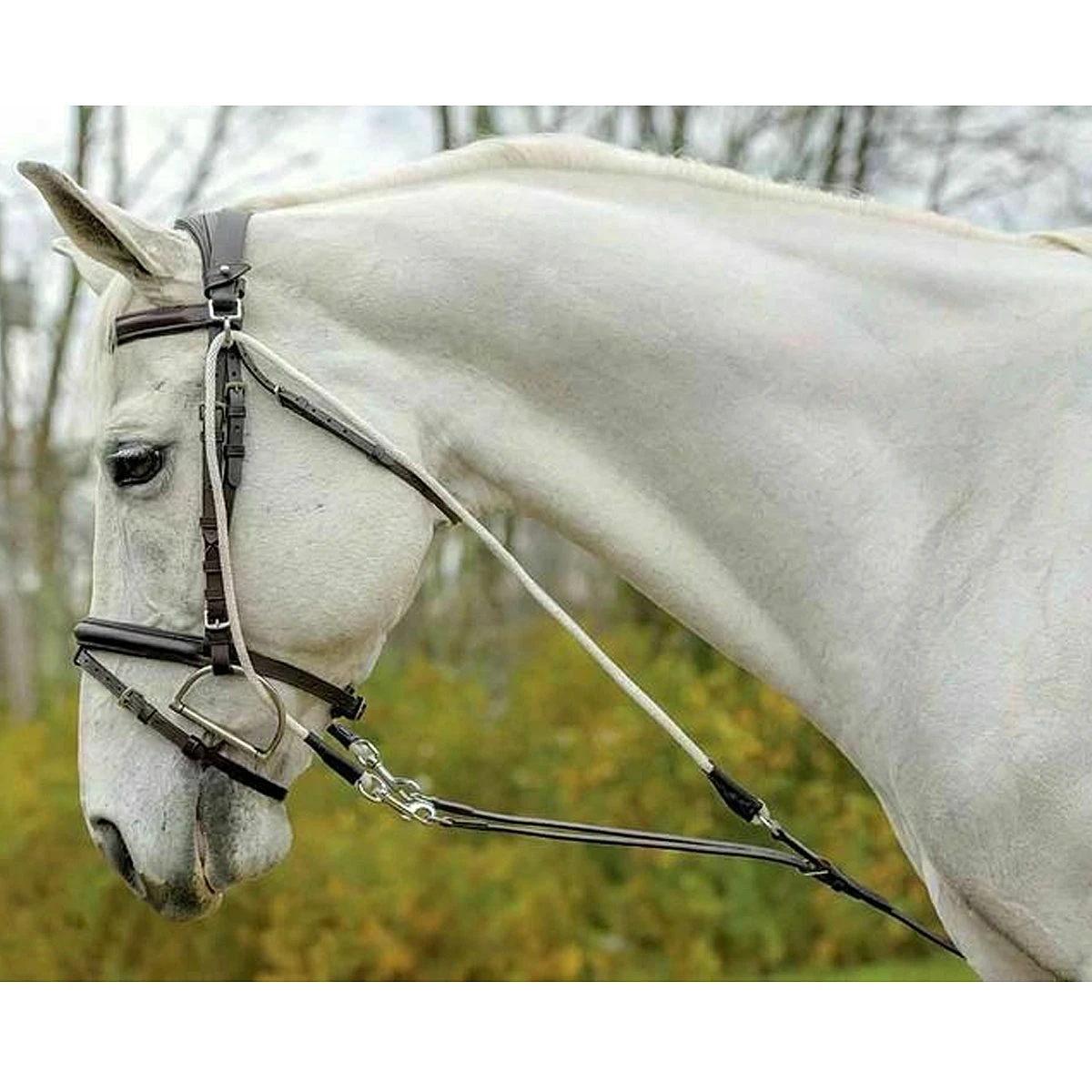 Avignon De Gogue Training Aid 4 Avignon De Gogue Training Aid - Image 2