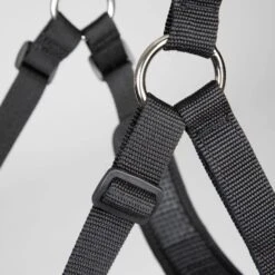 FreeGraze Comfort Grazing Muzzle 18 FreeGraze Comfort Grazing Muzzle -Farm House Tack Store b398d730 a9a7 4ab4 b9bf b0714666be3e