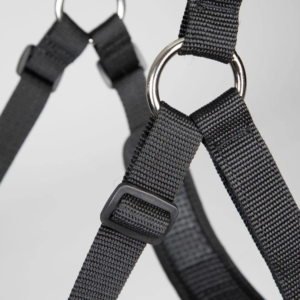 FreeGraze Comfort Grazing Muzzle 8 FreeGraze Comfort Grazing Muzzle - Image 6