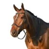 Jump'in Bitless Bridle - One Collection 2 Jump'in Bitless Bridle - One Collection -Farm House Tack Store b99f214e e809 46ea bf6a 8175829c5212