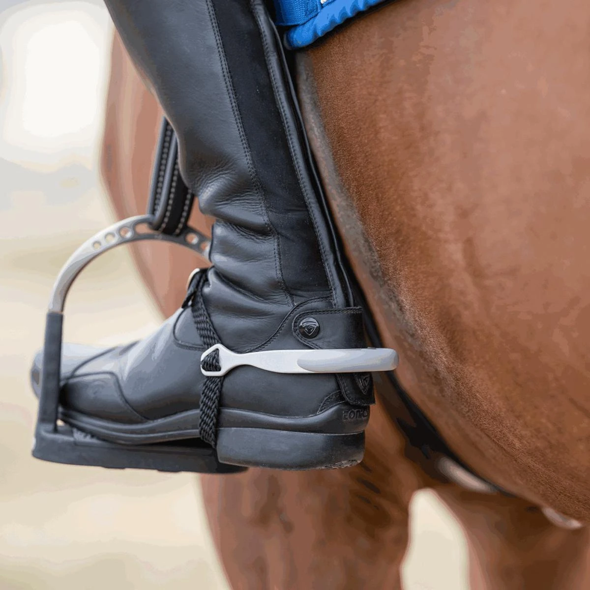 Herm Sprenger FairRider Rounded Neck Spurs 4 Herm Sprenger FairRider Rounded Neck Spurs - Image 2