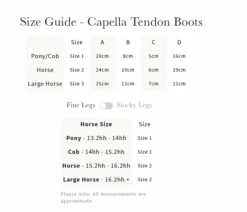 LeMieux Capella Tendon Boots 30 LeMieux Capella Tendon Boots -Farm House Tack Store ba8c8ec37035bfda55cd89854ff0443b