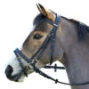 Wintec English Bridle With Flash Noseband 1 Wintec English Bridle With Flash Noseband -Farm House Tack Store black3 94565.1586445749.1280.1280