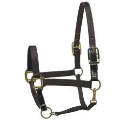 Perri's Premium Nylon Safety Halter -Farm House Tack Store black 53938.1588257174.1280.1280