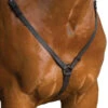 Wintec Breastplate