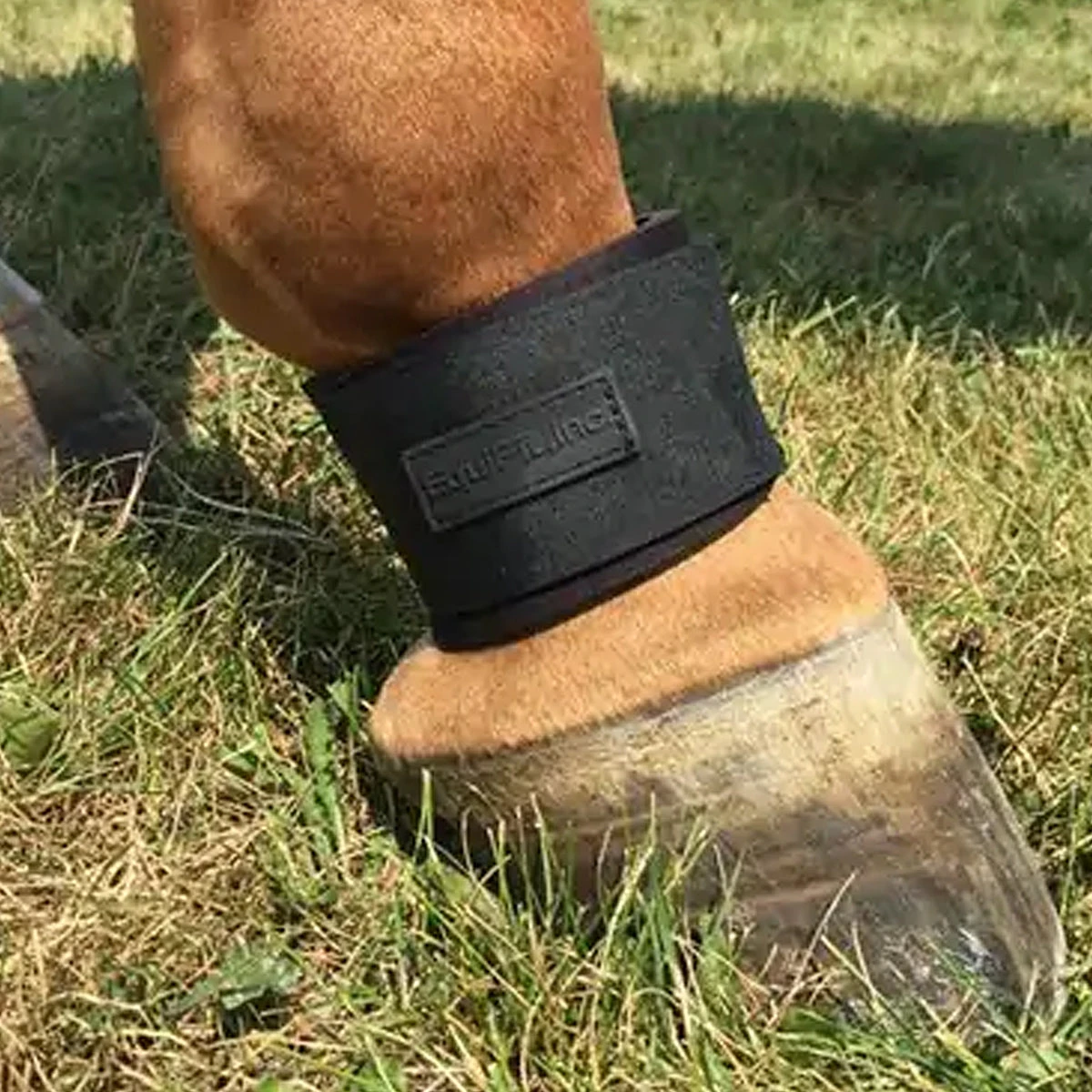Equifit Neoprene Pastern Band Velcro Closure 5 Equifit Neoprene Pastern Band Velcro Closure - Image 3