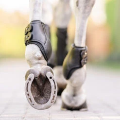 EquiFit Eq-Teq Hind Boot 15 EquiFit Eq-Teq Hind Boot -Farm House Tack Store boots2 27406adf dcf7 4644 b134 b0e8f1c65bf4