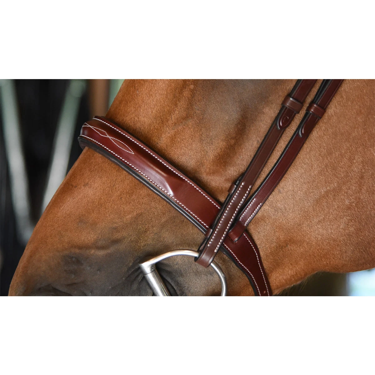 KL Select Italia Tuscany Hunter Bridle 7 KL Select Italia Tuscany Hunter Bridle - Image 5