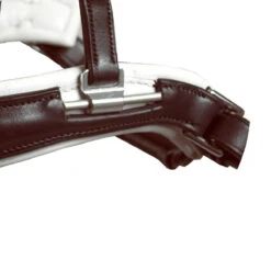 Acavallo Filosofia Bridle 9 Acavallo Filosofia Bridle -Farm House Tack Store bridle3 35524.1587741816.1280.1280